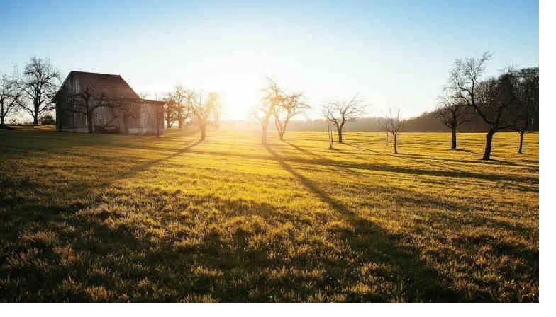 Documentos e livro de direito agrário sobre usucapião rural